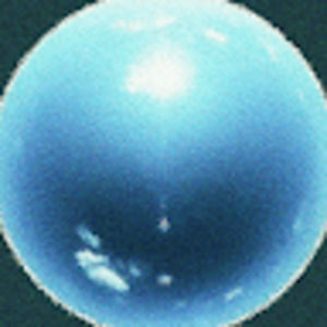 Meet your Posher, Jack